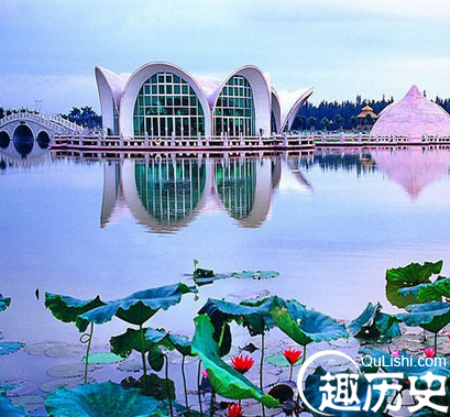 长寿村
