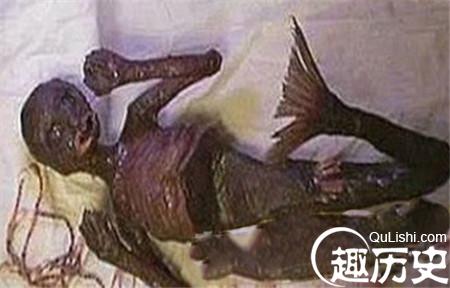 古城墓室惊现神秘海底人鱼