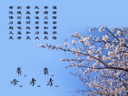 佛教-“贵”要怎么修 佛教-“贵”要怎么修