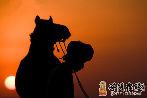 放手 放手
