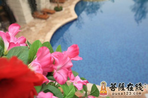 为纯洁的心灵腾出一片空地 为纯洁的心灵腾出一片空地