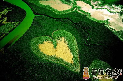佛教-本来无一物 何处惹尘埃 佛教-本来无一物 何处惹尘埃