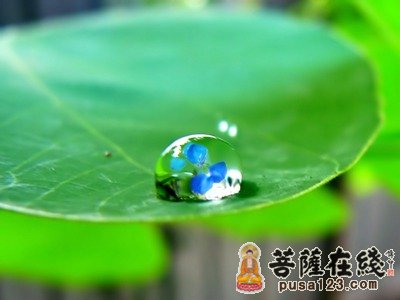 佛教-护理病僧 种大福田 佛教-护理病僧 种大福田