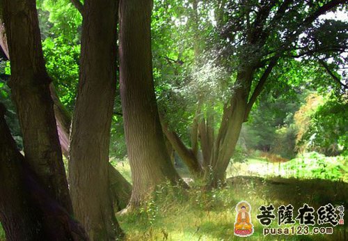 遇到蛇的女施主 遇到蛇的女施主