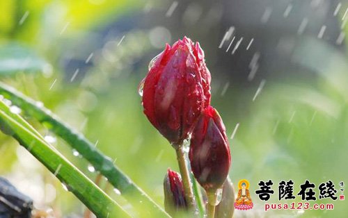 佛教-禅门公案:昨日雨今日晴 佛教-禅门公案:昨日雨今日晴