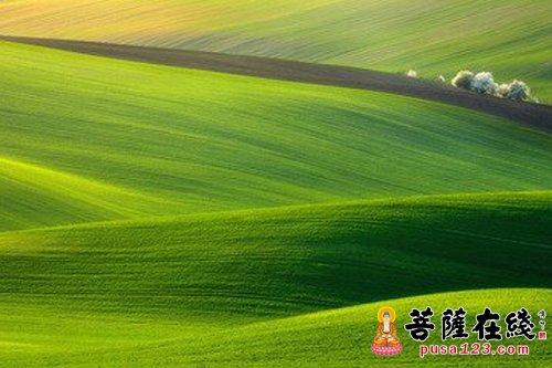 佛教-禅味小故事:除草斩蛇 佛教-禅味小故事:除草斩蛇