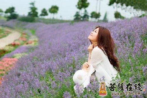 抢不走的福报 抢不走的福报