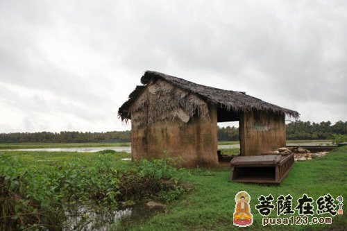 佛教-因蛇悟道 佛教-因蛇悟道