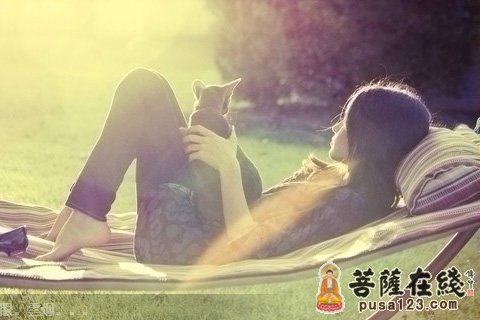 猫的开示 猫的开示