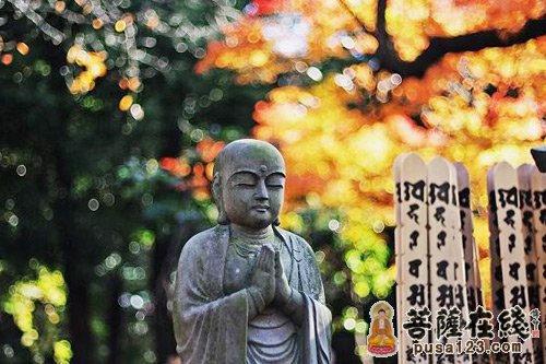佛教-千岁宝掌和尚的一生 佛教-千岁宝掌和尚的一生