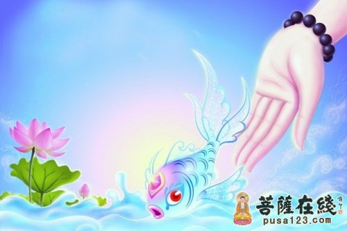 紫草-宁可我被骗 不能再骗他人 紫草-宁可我被骗 不能再骗他人