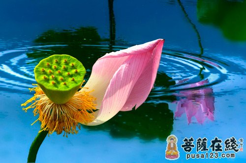 吕四-害人恰害已 报应立刻见 吕四-害人恰害已 报应立刻见