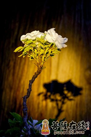 反写的“佛” 反写的“佛”