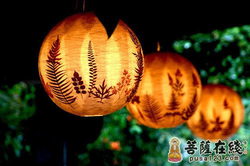 菩提树-菩提树的沧桑史 菩提树-菩提树的沧桑史