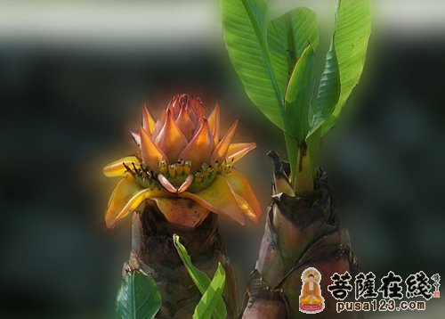 艺术-禅与美 艺术-禅与美