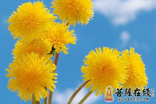 佛教-五百次的母亲 佛教-五百次的母亲