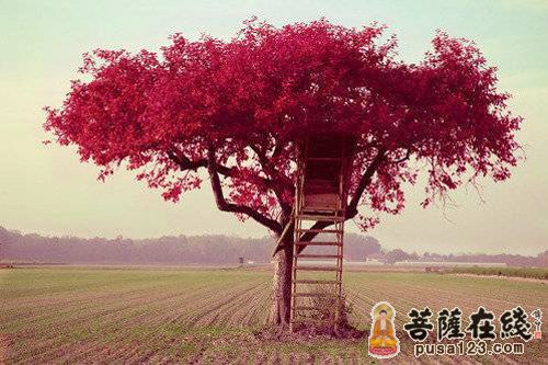 失意时要懂得心宽 失意时要懂得心宽