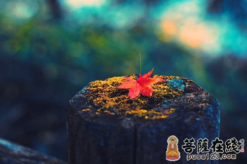 悬空寺-悬空寺里修行人的故事 悬空寺-悬空寺里修行人的故事