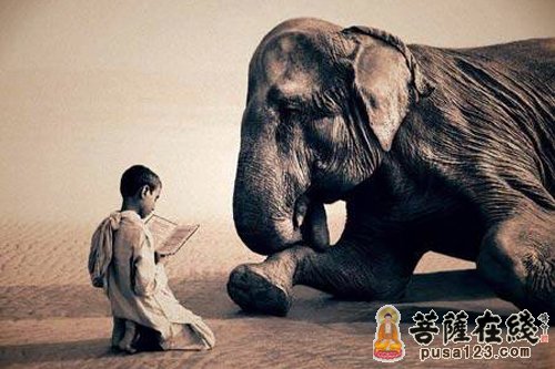 释迦牟尼-佛陀前世五戒治国 国人命终不堕恶道 释迦牟尼-佛陀前世五戒治国 国人命终不堕恶道