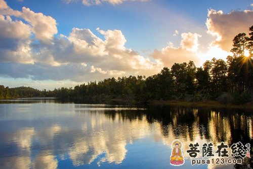 大龟报恩 大龟报恩