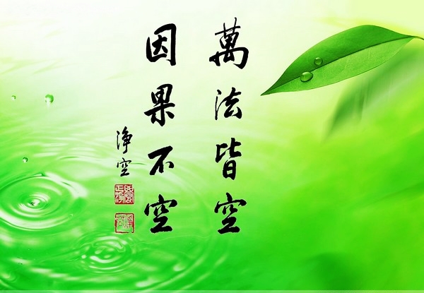 法律-敬畏因果,不得恶死:法医因果观察报告 法律-敬畏因果,不得恶死:法医因果观察报告