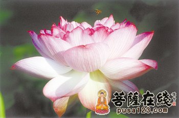 佛教-哑巴和尚与“彩石矶”的传说 佛教-哑巴和尚与“彩石矶”的传说