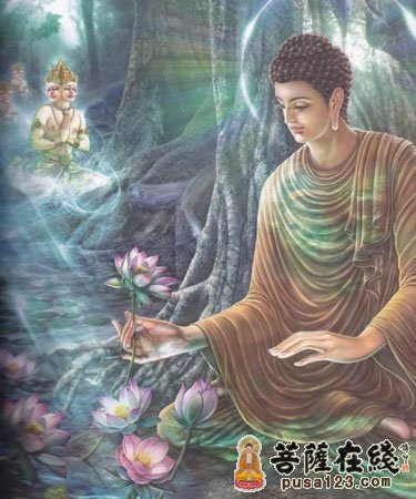 文化-供佛鲜花 得佛授记 文化-供佛鲜花 得佛授记
