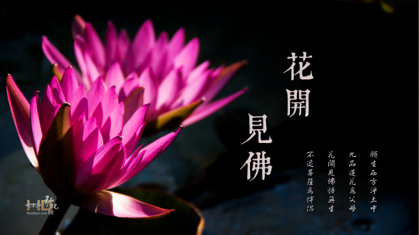 念佛-觉明妙行菩萨往昔念佛七日即身成就的事迹及其念佛精要开示 念佛-觉明妙行菩萨往昔念佛七日即身成就的事迹及其念佛精要开示