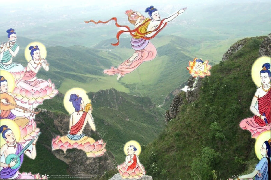 忧虑为世人的大患 忧虑为世人的大患