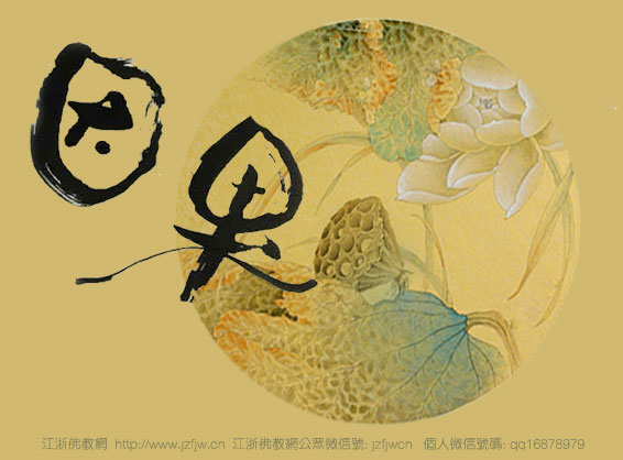 佛教-有大福报却堕蛇身,为什么? 佛教-有大福报却堕蛇身,为什么?