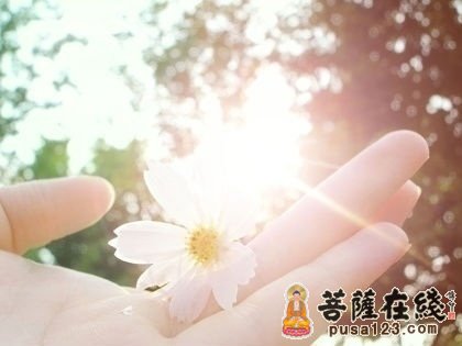 文化-生命的幽香 文化-生命的幽香