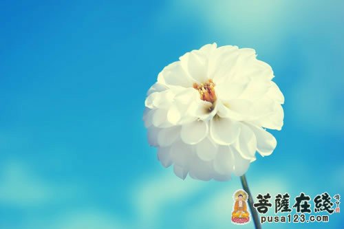 知恩报恩 知恩报恩