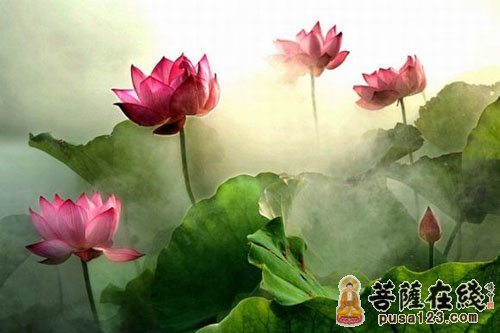 佛教-为什么要盖被子? 佛教-为什么要盖被子?