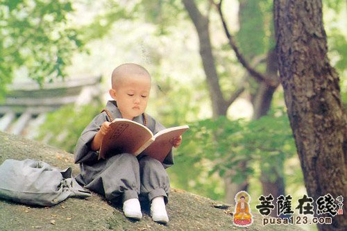 佛教-向石头道歉 佛教-向石头道歉