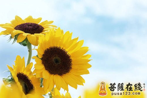 佛教-选一种活法 佛教-选一种活法