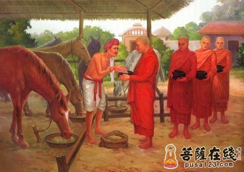 释迦牟尼-神奇的马麦 释迦牟尼-神奇的马麦