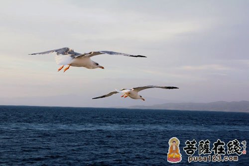 生与死-生与死不过一场游戏 生与死-生与死不过一场游戏