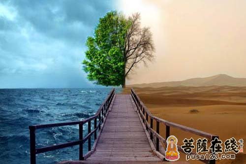 佛教-佛教智慧小故事:用谷子粉刷墙 佛教-佛教智慧小故事:用谷子粉刷墙