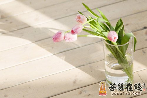 佛教-屠夫之子的宿世因缘 佛教-屠夫之子的宿世因缘
