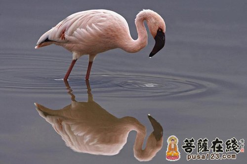 佛法-《做人的佛法》认识你自己 佛法-《做人的佛法》认识你自己