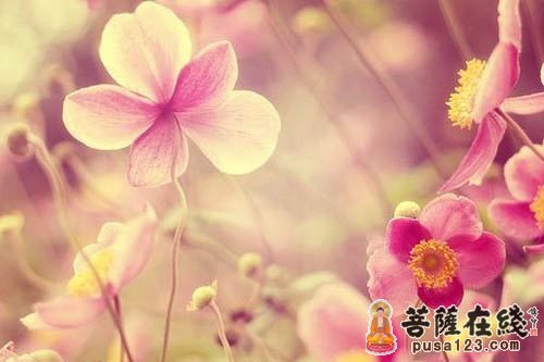 菩提达摩-慧可安心 菩提达摩-慧可安心