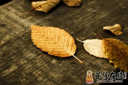 桥上对立 桥上对立