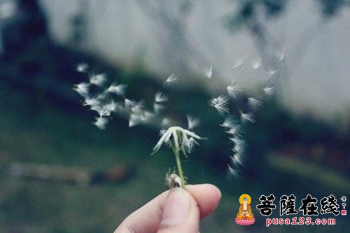 王田-善恶有无之间 王田-善恶有无之间