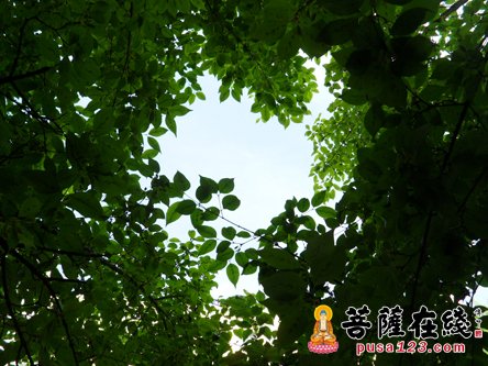 苏东坡-心境 苏东坡-心境