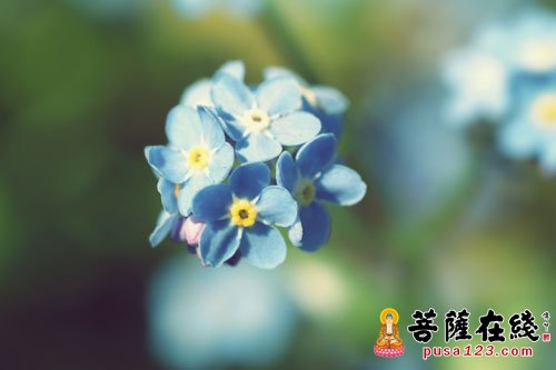 释迦牟尼-人生无常 释迦牟尼-人生无常