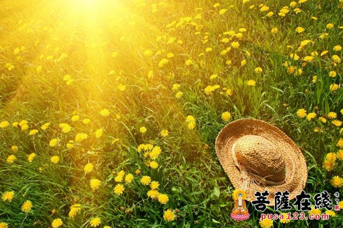 积大福德 改变命运 积大福德 改变命运
