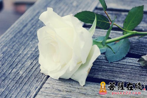 佛教-别责怪普通人 佛教-别责怪普通人