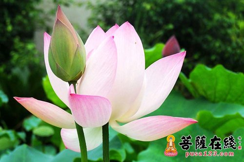 释迦牟尼-泥土对佛祖说:我什么都没有 释迦牟尼-泥土对佛祖说:我什么都没有