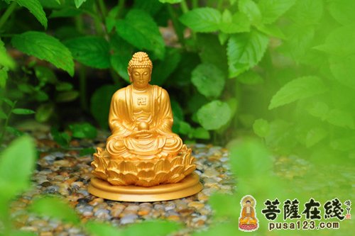 释迦牟尼-佛陀的故事-说恶口两舌 释迦牟尼-佛陀的故事-说恶口两舌