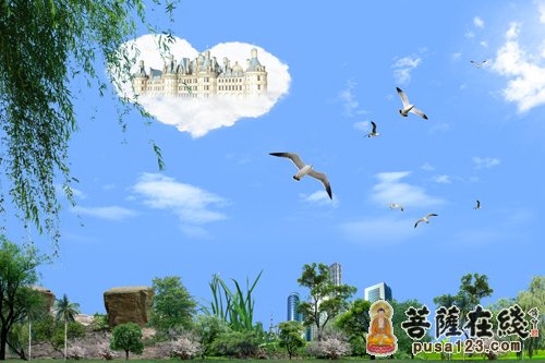佛教-老母鸡的忠言 佛教-老母鸡的忠言